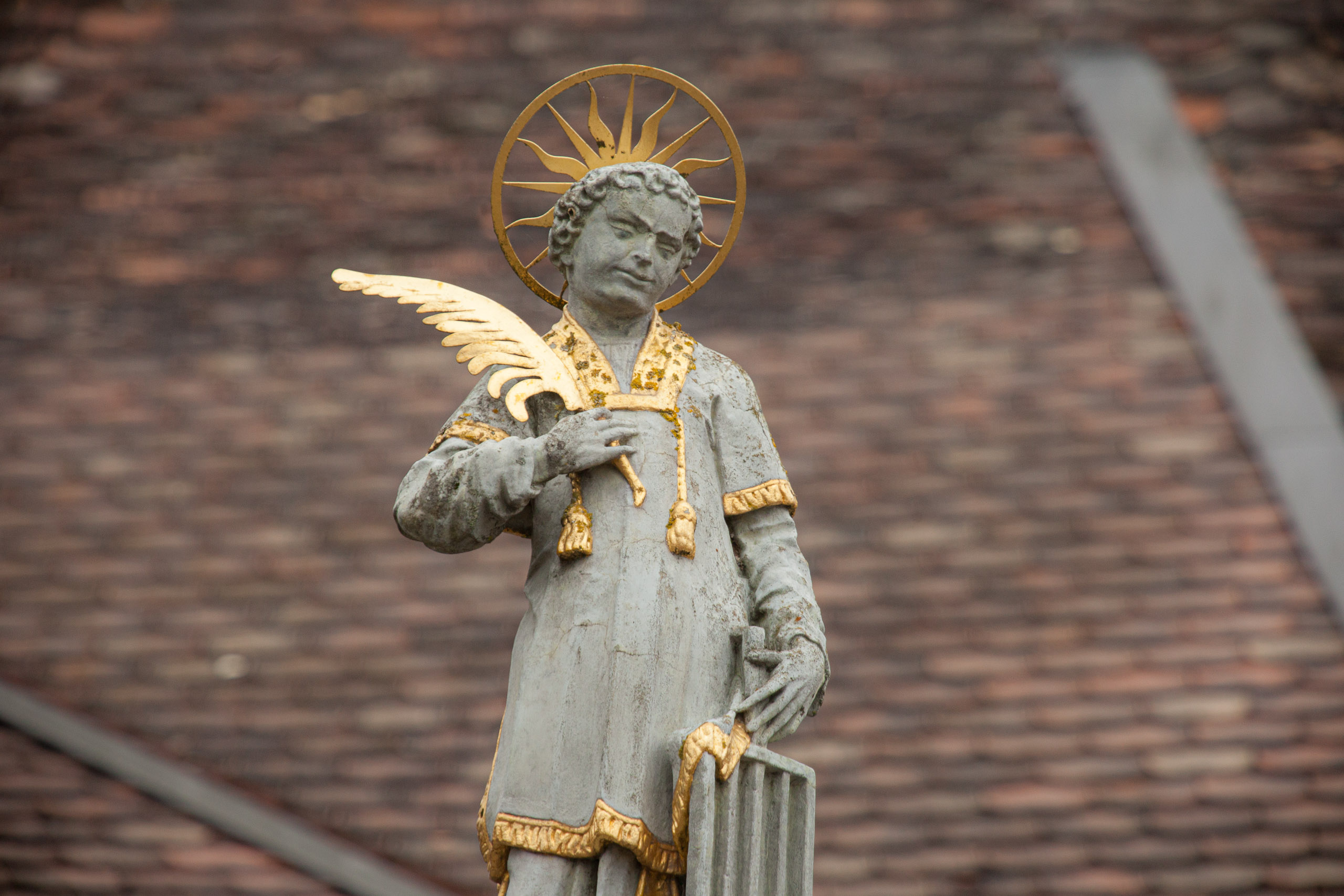 20120225101042 IMG 3542